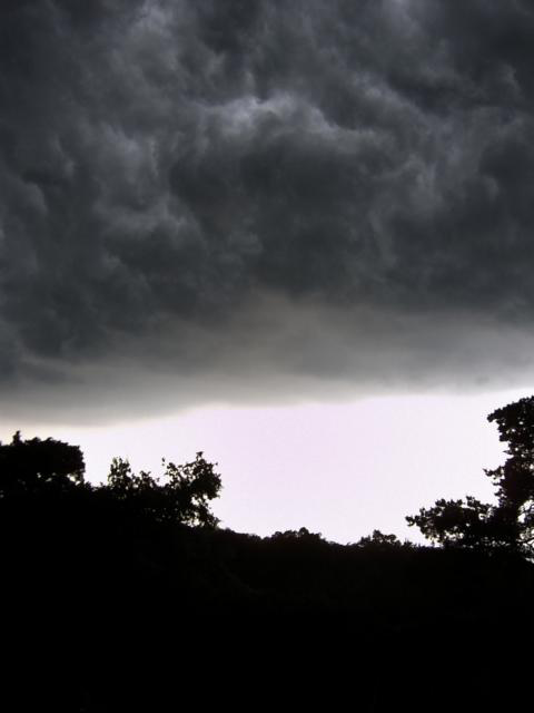 Gewitter (3)